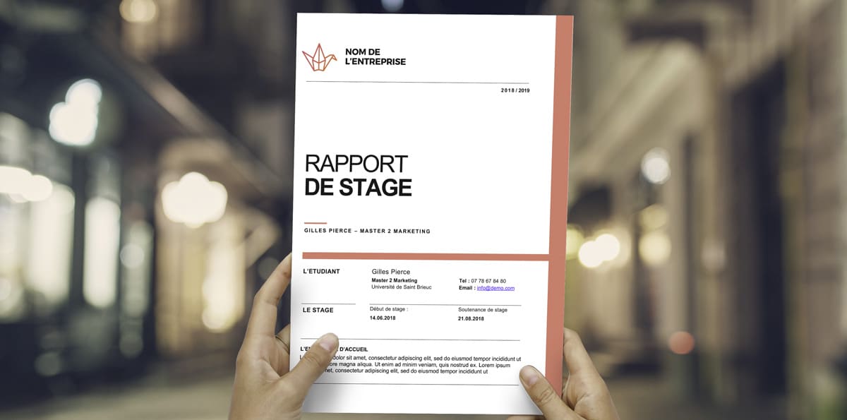 Student Powerpoint + Rapport Word + CV – Image 10